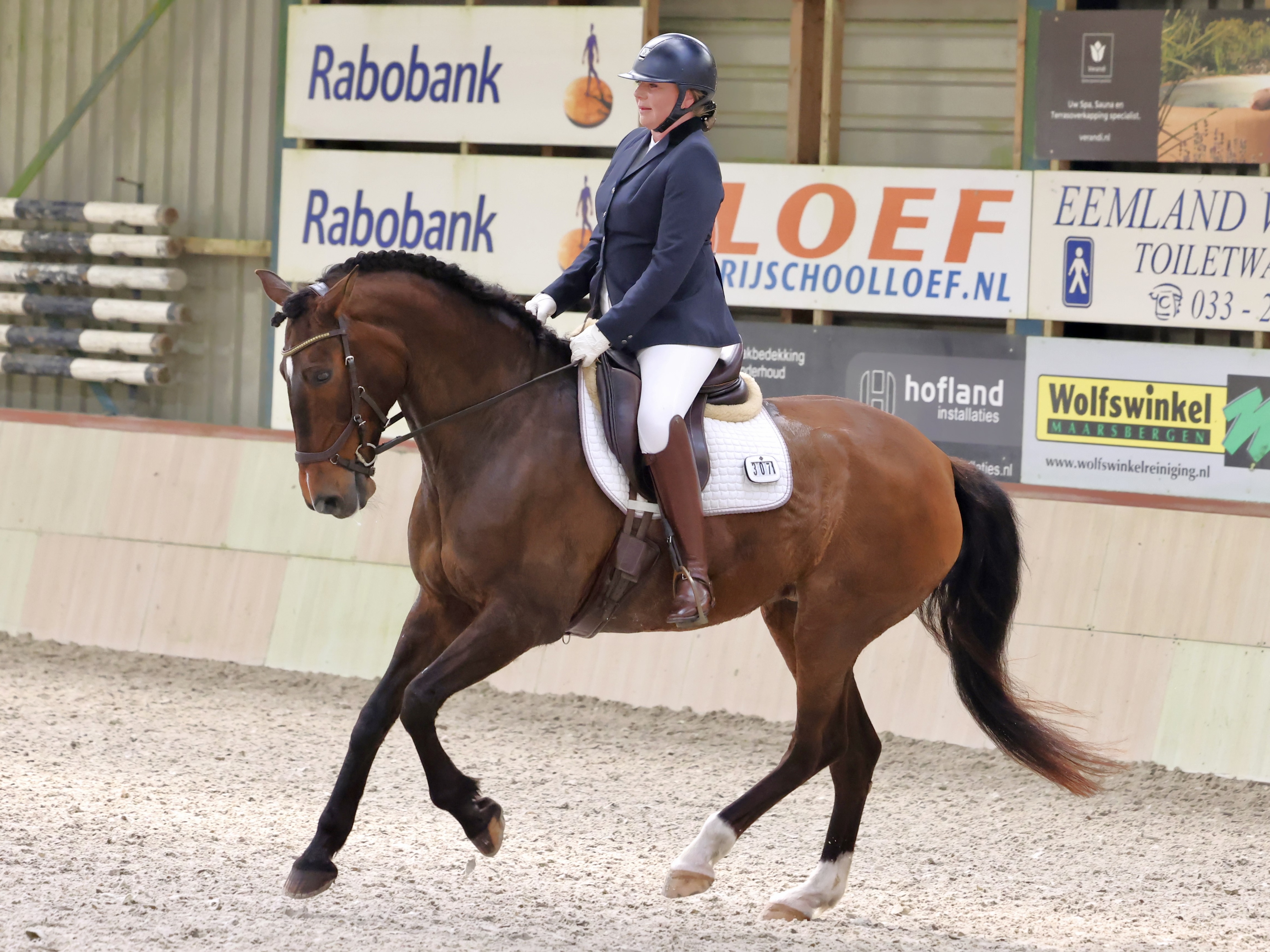 Lusitano dressuurcompetitie